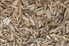 biomass boilers Milltimber